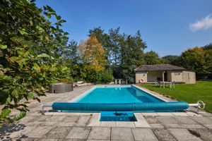 Communal Gardens- click for photo gallery